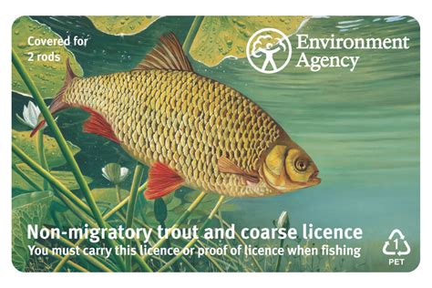 rod fishing licence